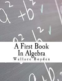 bokomslag A First Book In Algebra