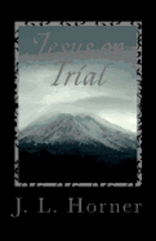 bokomslag Jesus on Trial: You are the sole juror You have to decide