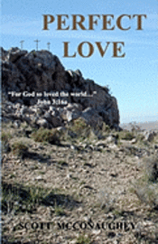 bokomslag Perfect Love: For God so Loved the World