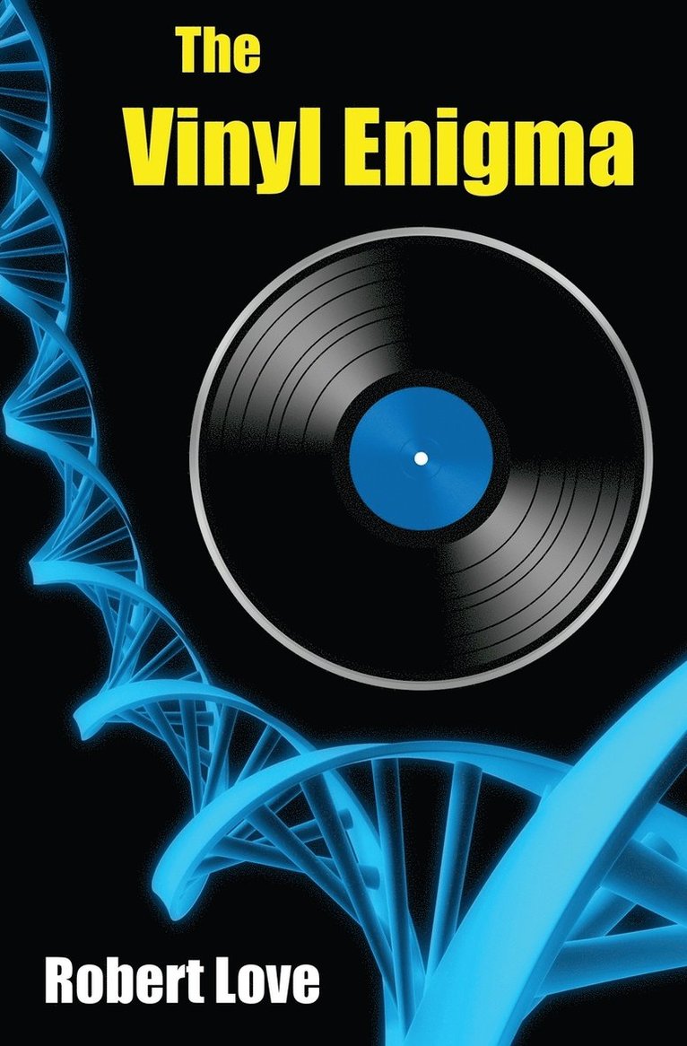 The Vinyl Enigma 1