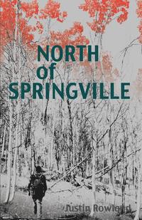 bokomslag North of Springville