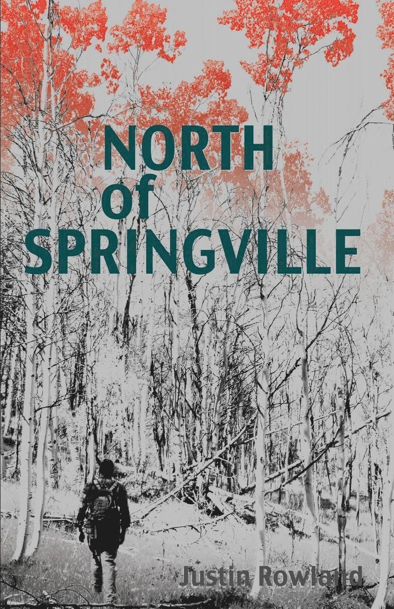 North of Springville 1