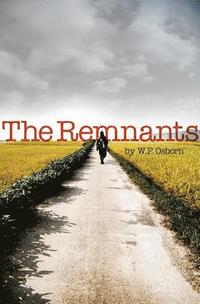 bokomslag The Remnants