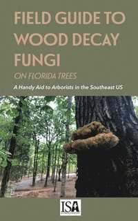 bokomslag Field Guide to Wood Decay Fungi on Florida Trees