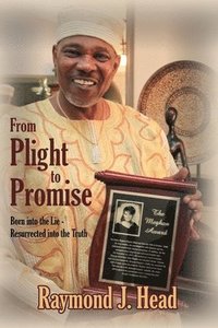 bokomslag From Plight to Promise
