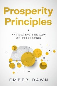 bokomslag Prosperity Principles