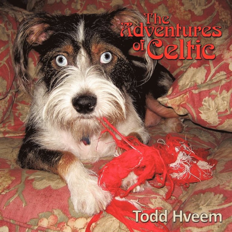 Adventures of Celtic