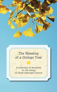 bokomslag The Blessing of a Ginkgo Tree