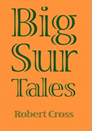 bokomslag Big Sur Tales