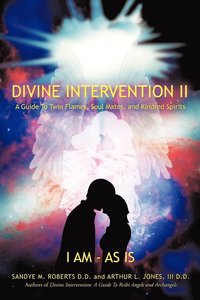 bokomslag Divine Intervention II