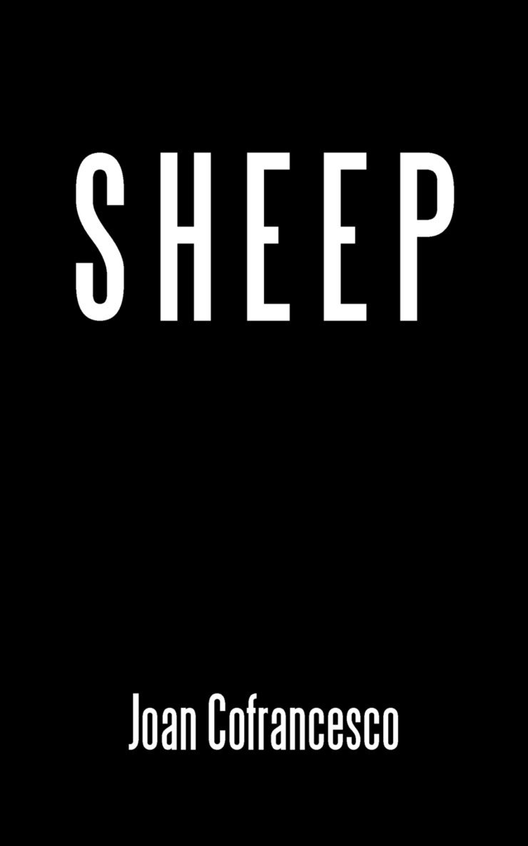 Sheep 1