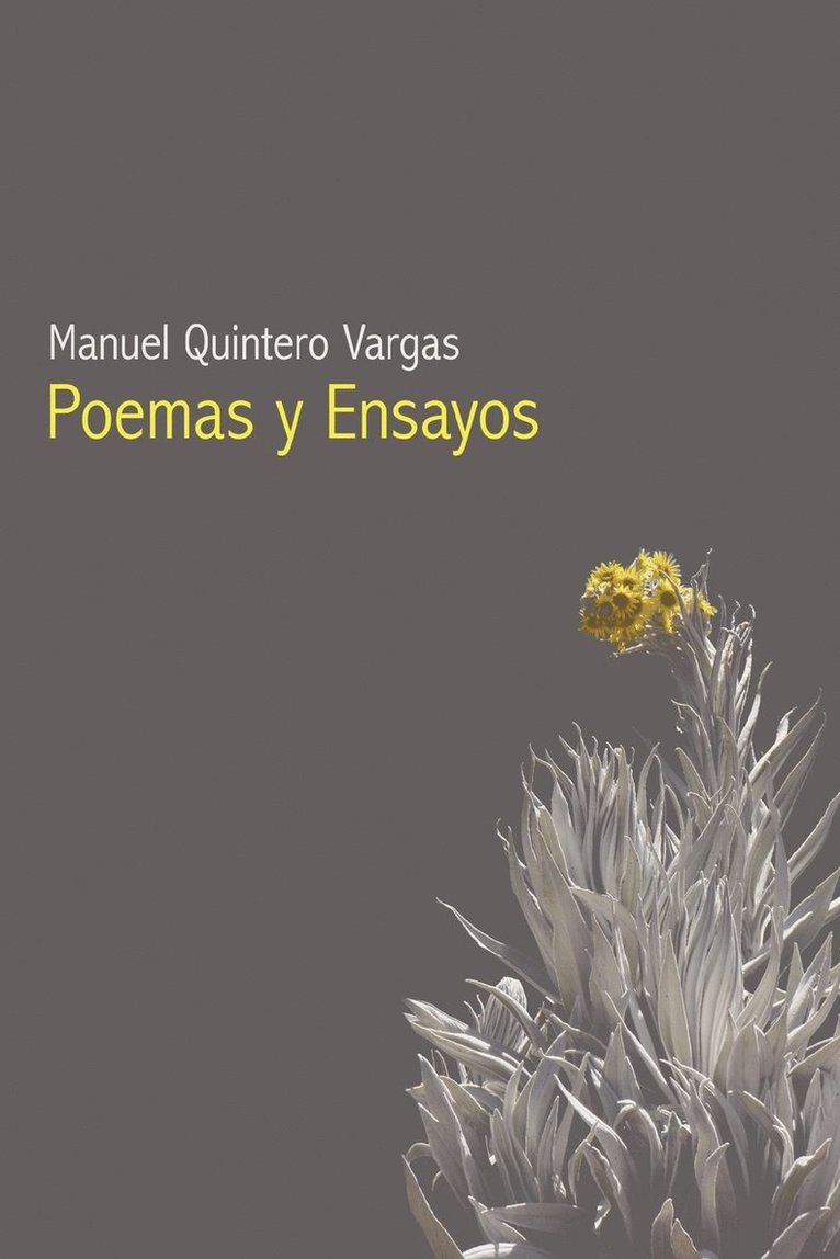 Manuel Quintero Vargas - Poemas Y Ensayos, Häftad