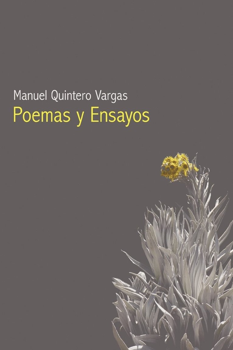 Poemas Y Ensayos 1