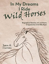 bokomslag In My Dreams I Ride Wild Horses