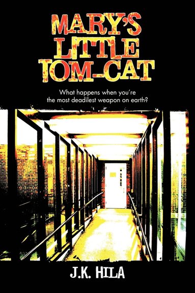 bokomslag Mary's Little Tom-cat