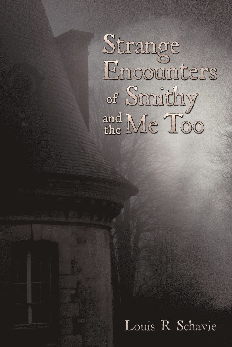 Strange Encounters of Smithy and the Me Too 1