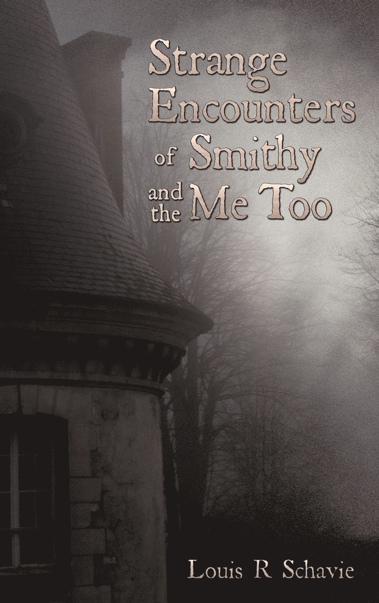 Strange Encounters of Smithy and the Me Too 1