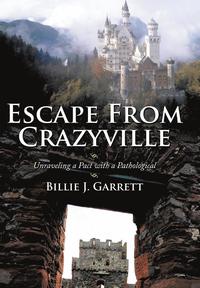 bokomslag Escape From Crazyville