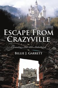 bokomslag Escape From Crazyville