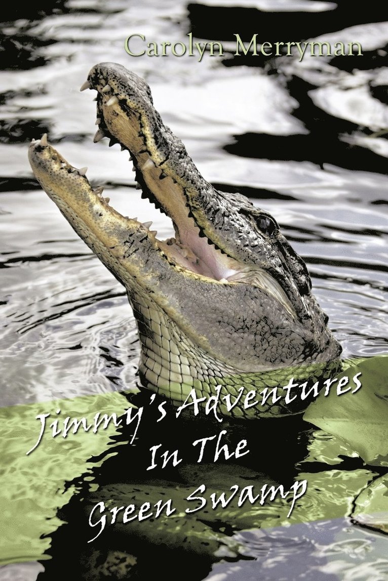 Jimmy's Adventures In The Green Swamp 1