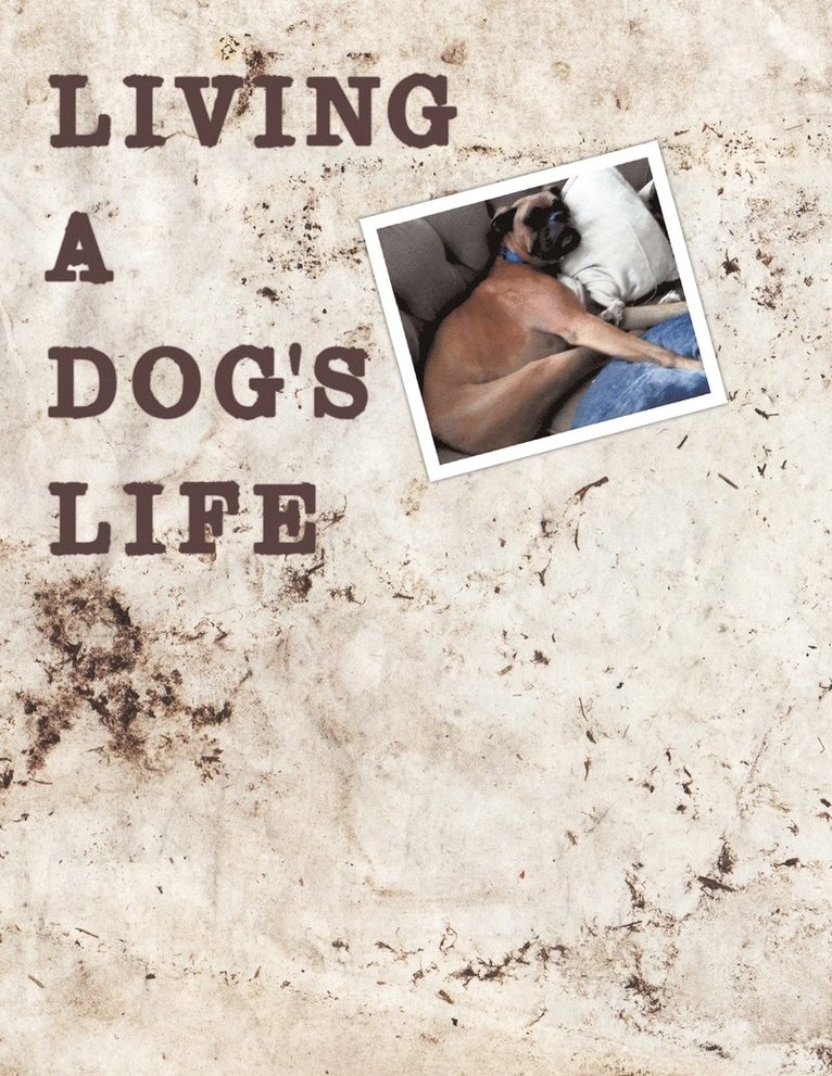 Linda Salmon, Brenda Salyers - Living A Dog's Life, Häftad