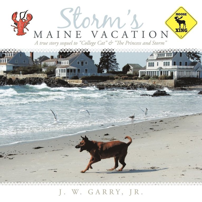 Storm's Maine Vacation 1