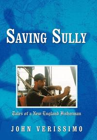 bokomslag Saving Sully