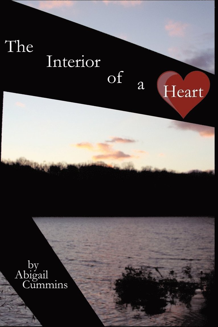 Interior of a Heart 1
