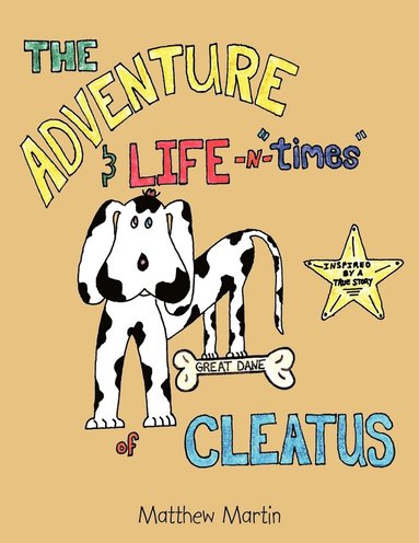 Matthew Martin - Adventure & Life -n- "Times" of Cleatus, Häftad