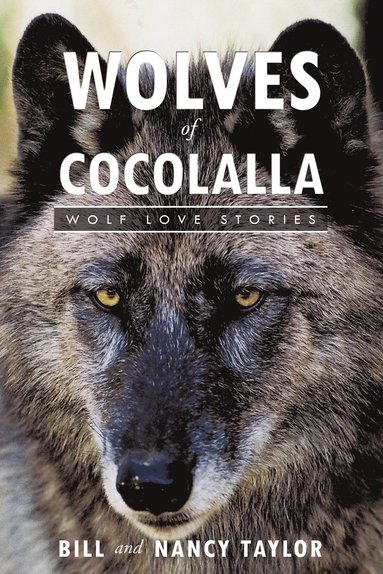 bokomslag Wolves of Cocolalla