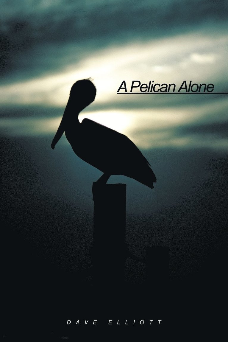 A Pelican Alone 1