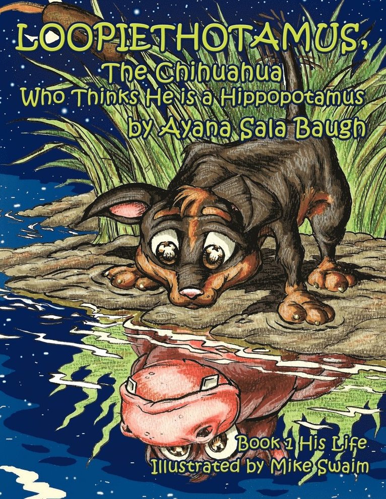 Loopiethotamus, the Chihuahua Who Thinks He is a Hippopotamus