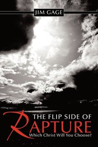 bokomslag The Flip Side of Rapture