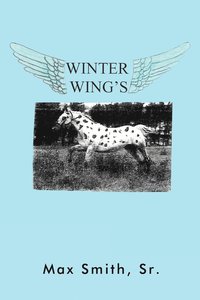bokomslag Winter Wings