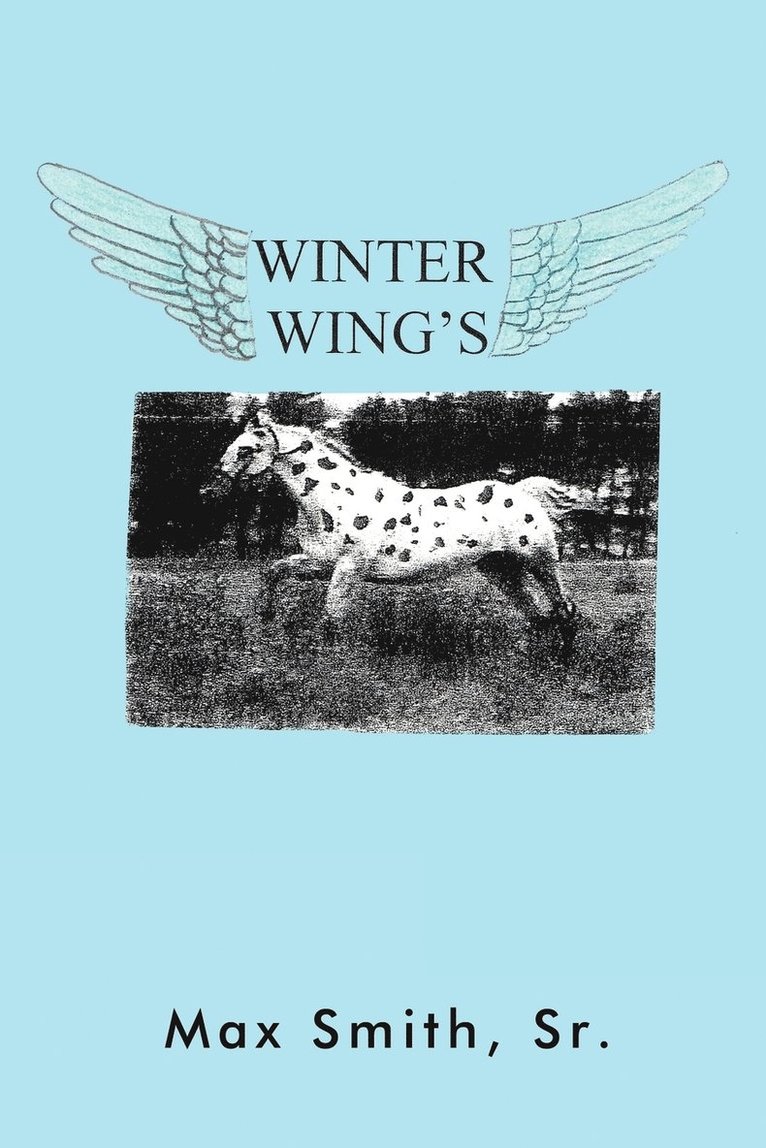 Winter Wings 1