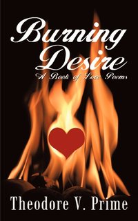 bokomslag Burning Desire