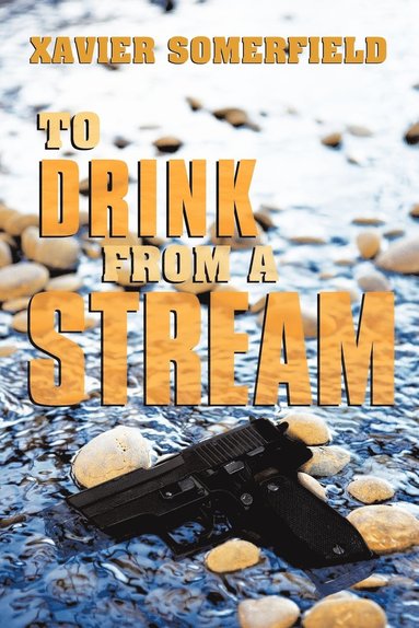 bokomslag To Drink from a Stream