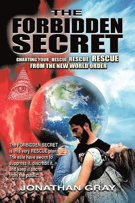 bokomslag Forbidden Secret