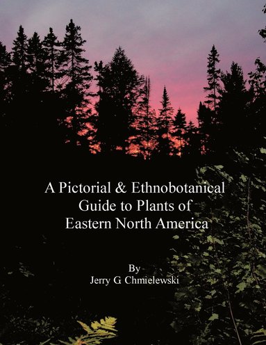 bokomslag A Pictorial and Ethnobotanical Guide to Plants of Eastern North America