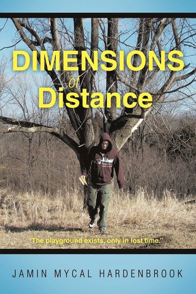 bokomslag Dimensions of Distance