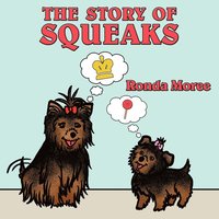 bokomslag Story Of Squeaks