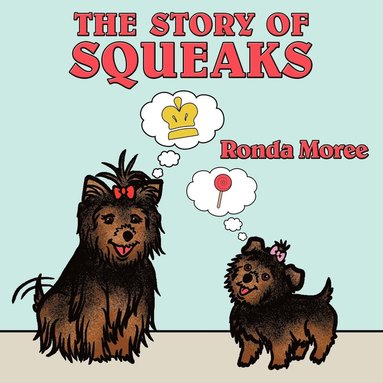 bokomslag Story Of Squeaks