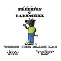 bokomslag Adventures of Friendly & Barnackel