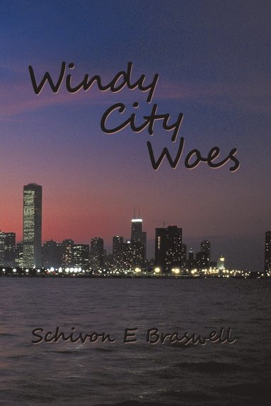 bokomslag Windy City Woes