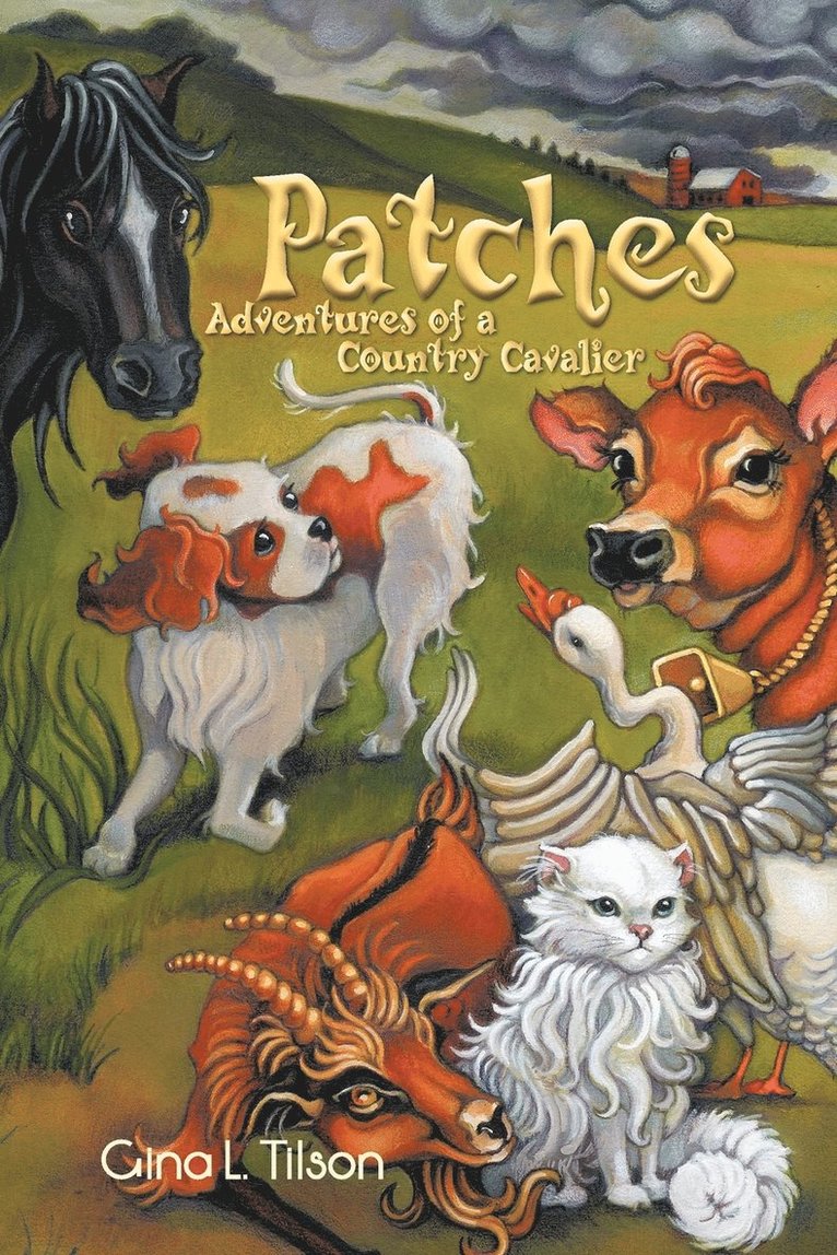 Gina L. Tilson - Patches, Häftad