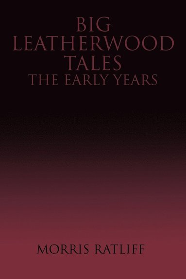 bokomslag Big Leatherwood Tales-The Early Years