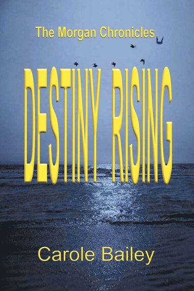 bokomslag Destiny Rising