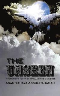 bokomslag The Unseen