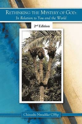 Chinedu Nwadike CSSp, Chinedu Nwadike Cssp - Rethinking the Mystery of God, Häftad