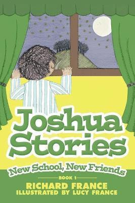 bokomslag Joshua Stories: Book 1 - New School, New Friends
